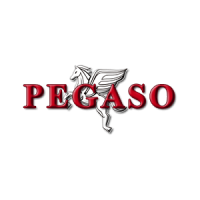 pegaso